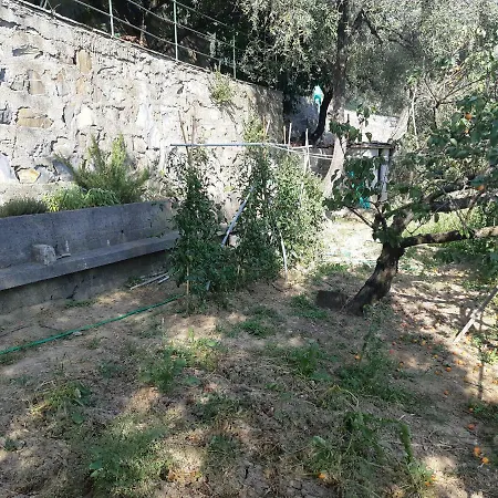 בית נופש Villino T ראפאלו